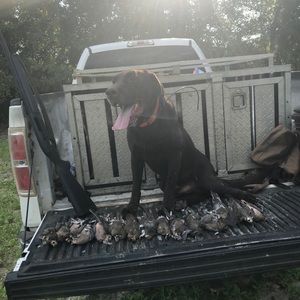 Meet your Posher, Logan